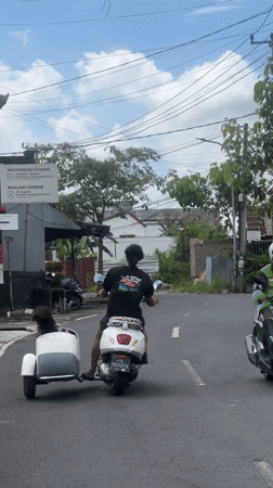 Scooter family transport and festival preparations documented in North Kuta