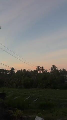 The video shows an outdoor scene at dusk. In the foreground, there is a grassy field with some plants. In the midground, there is a road with two motorcycles on it. There are also some palm trees and other foliage. In the background, there is a clear sky with some clouds. The overall impression is one of a peaceful rural setting at sunset.