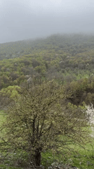 Spring countryside scenes documented in Karaberd, Armenia