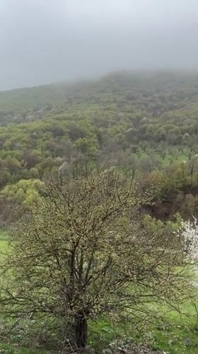 Spring countryside scenes documented in Karaberd, Armenia