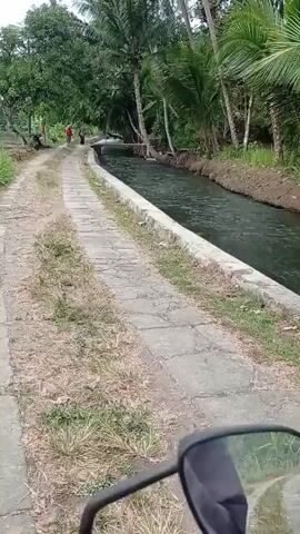 The video begins with a view of a dirt path next to a canal. Palm trees and other vegetation line the canal. Two people are visible in the distance walking away from the camera. The path turns and leads towards a more open area with fields and trees. A pile of dried palm fronds is stacked on the side of the path. The camera continues to move forward, showing more of the fields and distant hills under an overcast sky.