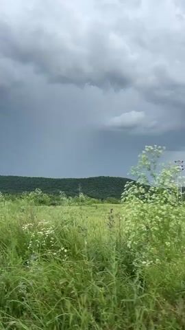 The video shows a landscape scene from a moving vehicle.  In the foreground is a field of tall, green grass and some wildflowers. Behind the field, a low, green hill stretches across the horizon.  The sky is overcast with dark, stormy-looking clouds, indicating possible rain.  Power lines are also visible along the roadside.  The camera is positioned inside the vehicle, showing part of the car door and a blurry view. There is no audio description.