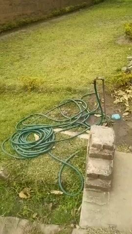 The video shows an outdoor scene, likely a backyard or garden area, with a focus on a coiled green garden hose lying on the grass. There is a metal water faucet attached to a pipe sticking out of the ground near the hose. In the background, a brick wall is visible, with a building beyond it. The building appears to be a church or a similar institutional structure with a green roof and brick exterior. The sky is overcast. The video pans across the scene, offering different perspectives of the garden, the wall, and the building.