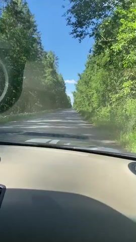 This is a first-person perspective video of a car driving down a paved road through a forest on a sunny day. The road is mostly clear, with the exception of some white stripes painted on it. The trees on either side of the road are tall and green, forming a canopy overhead, and the sky is a clear blue with a few scattered white clouds. The dashboard of the car is visible in the foreground.