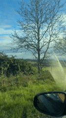 Motorist captures sunny countryside scene in Norfolk