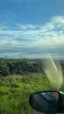 Motorist captures sunny countryside scene in Norfolk