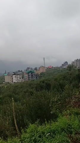 The video begins with a wide shot of a mountainous landscape, likely a valley, with buildings scattered across the slopes. The sky is overcast with clouds, partially obscuring the mountain peaks in the distance. The buildings appear to be multi-story structures, some with balconies, and are situated amidst lush green trees and vegetation. The camera then pans down, revealing a closer view of the dense greenery, including bushes and small white flowers. The final shot is of a dirt path or ground, with green plants growing on the side. The overall impression is of a natural landscape with human settlements integrated into it, under a cloudy sky.