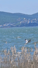 Lakeside scenes captured in Promachonas, Greece during afternoon visit