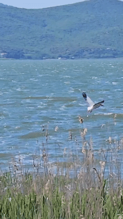 Lakeside scenes captured in Promachonas, Greece during afternoon visit