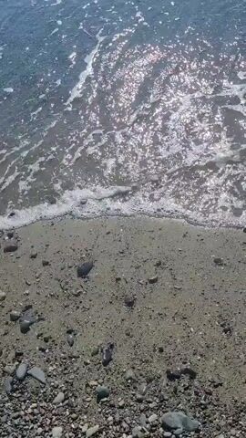 A shot looking down at a sandy beach where the ocean water is lapping onto the shore. The sun is shining brightly, causing a lot of glare on the water. There are small pebbles and shells scattered on the sand. The water is clear and blue.