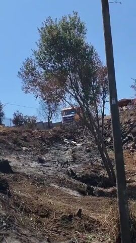 The video shows the aftermath of a fire. The ground is covered in charred debris, with burnt bushes and branches visible. In the distance, there are buildings, a white van, and a utility pole. Overhead, power lines stretch across a clear blue sky. The scene conveys a sense of destruction and environmental damage caused by the fire.