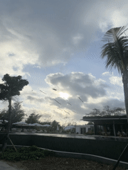 Morning scenes captured at Denpasar resort area with kites and beaches