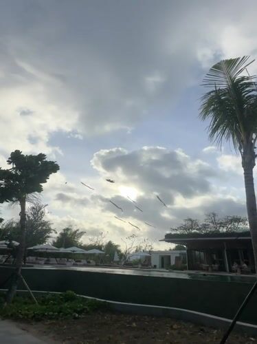Morning scenes captured at Denpasar resort area with kites and beaches