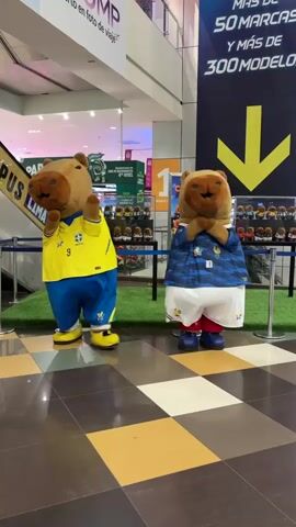 Two capybara mascots, dressed in soccer jerseys, stand in an indoor setting. The mascot on the left wears a yellow and blue Brazilian jersey with the number 9 on it. The mascot on the right wears a blue and white French jersey with a French flag emblem. They are positioned on a patch of artificial grass in what appears to be a mall or large retail space.

Behind the mascots, a large banner displays text in Spanish. The banner is predominantly dark blue with white and yellow lettering. Visible text includes "MAS DE 50 MARCAS Y MAS DE 300 MODELOS" (More than 50 brands and more than 300 models). A large yellow arrow points downwards from the top of the banner. To the left of the mascots, a section of an escalator is visible, with text above it reading "CAMPUS LIMA". Another sign to the left of the escalator reads "PAPA JOHNS" and "INGREDIE".

The floor in front of the mascots is tiled in a checkered pattern of brown and cream colors, reflecting the overhead lighting, suggesting it is daytime. The lighting is bright and artificial, typical of an indoor environment. The overall scene is likely a promotional event or display within a commercial area, possibly related to soccer given the jerseys. There are no discernible emotions from the mascots themselves, as they are costumed figures.