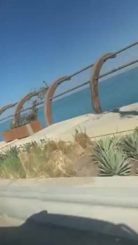 The video shows a view from inside a moving vehicle, likely a car, looking out at a coastline. There is a clear blue sky overhead, and the ocean is a similar turquoise color. A sidewalk or concrete barrier runs along the road, with a metal fence composed of arching, rusted metal beams separating the sidewalk from the coastline. In front of the fence, there are various low-lying plants and greenery, including what appear to be yucca plants. Occasionally, trees come into view on the left side of the frame, partially obscuring the view. The camera is moving at a steady pace.