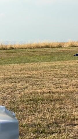 The media file depicts an outdoor scene with a model jet aircraft as the central object. The jet is dark blue with white accents and appears to be on a grassy field, possibly a runway or airfield, given its placement. In the background, there is dry, golden grass, suggesting a warm or dry season. Further in the distance, hills or mountains are visible, along with some wind turbines, hinting at a rural or open landscape. The sky is partly cloudy, and the lighting suggests it is daytime, likely late afternoon or early evening due to the soft light and long shadows. The overall mood is calm and peaceful, focused on the solitary model jet. A white object, possibly a cloth or tarp, is in the foreground, partially obscuring the view and creating a sense of depth. The text "ART-AIR" is visible on the side of the model jet. The location is Becherbach, Germany.