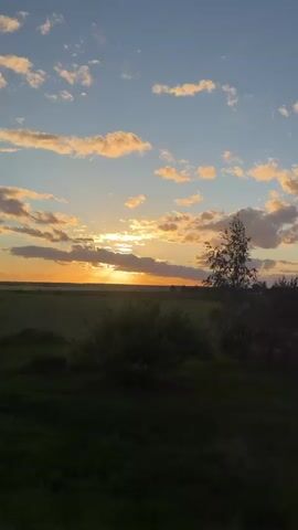 The video shows a picturesque sunset. The sky is a mix of blue and orange hues, with scattered clouds tinged with golden light. The sun is setting on the horizon, partially obscured by the trees. In the foreground, there is a silhouette of dense foliage, including bushes and trees. The camera appears to be moving, possibly from a train or car, as the landscape shifts.