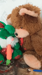 Stuffed animals, garden flowers, and a cozy home interior
