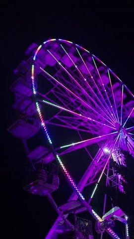 A Ferris wheel is illuminated with purple and rainbow lights against a black night sky.