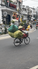 Morning life unfolds in Da Lat streets and shops