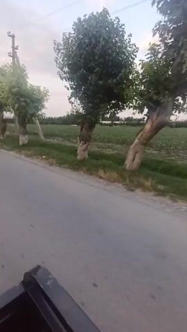 The video shows a view from the back of a vehicle driving down a paved road. The road is lined with trees on both sides. In the distance, a tractor is visible driving in the same direction. The sky is cloudy.