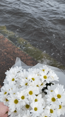 White daisies and boat journey captured on Saint Petersburg waters