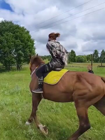 A person rides a brown horse across a grassy field. The rider wears a plaid shirt and yellow saddle pad. A person walks behind the horse holding a rope attached to its bridle. In the background, there are trees, a fence, a tractor, and a building. The sky is cloudy.