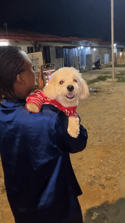 Abuja streets at night, white poodle and all