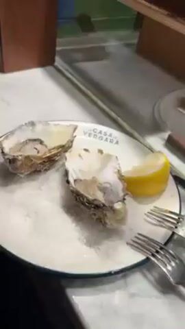 The video shows a plate with two oysters on a bed of ice and a lemon wedge next to two small forks and a glass of white wine. The plate is on a white marble surface. Behind the plate is a glass case with food inside. The plate says "CASA VERGARA." People can be heard talking in the background.