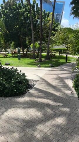 The camera moves slowly forward along a paved brick walkway through a green, park-like area. To the left is a large green bush. The walkway curves slightly right. There are palm trees and other trees casting shadows on the walkway. There are picnic tables with green benches on a grassy area to the left. A green trash can is visible near the tables. In the background, a tall modern building is visible, partially obscured by trees. The sky is blue with some clouds. The scene is bright and appears to be outdoors in daylight.