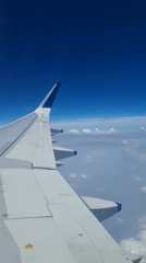 Passenger films airplane wing during morning flight over New Delhi