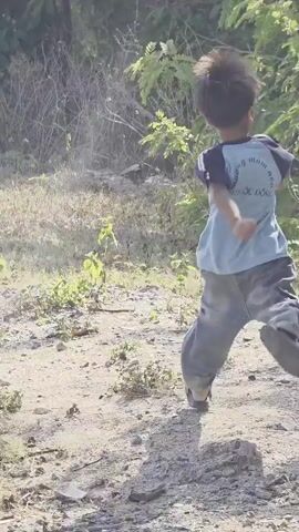 A young boy walks towards a cluster of trees and underbrush, looking to his left. He is wearing a light blue T-shirt with dark blue sleeves, loose-fitting gray pants, and sandals. The ground is dirt and sparsely covered with vegetation. The background is a mix of dead branches and green foliage. The scene is outdoors and well-lit.