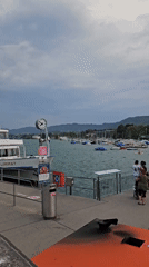 Zurich lake ferry traffic on a cloudy summer afternoon