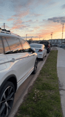 Dawn street scene with Bernese Mountain Dog captured in Dieppe