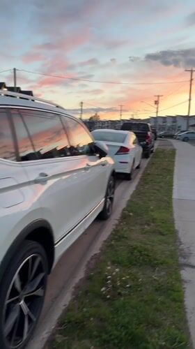 Dawn street scene with Bernese Mountain Dog captured in Dieppe
