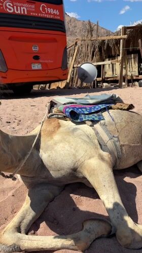 Tourist captures Red Sea beach visit in Dahab