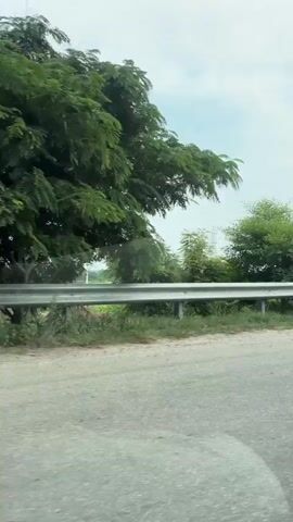 The video shows a roadside view with a person on a motorcycle. The person appears to be checking their phone while standing next to a red motorcycle parked on the side of a paved road. The environment is rural, with grassy areas and trees along the road. The sky is overcast with clouds. The camera is moving, indicating it's likely filmed from another vehicle.