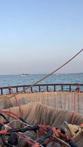 The video shows a view from a boat at sea, looking out over the water towards a distant shoreline. In the foreground, there are fishing nets and ropes. In the middle ground, several other boats are visible on the water, some appearing to be engaged in fishing activities. The sky is clear and blue. The overall impression is of a calm day at sea, with boats out fishing.