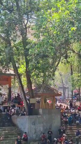 The video shows a large gathering of people seated on stone steps in an outdoor area. Behind the steps is a covered structure with an orange facade and a tiled roof, possibly a pavilion or seating area. There are trees with lush green foliage in the foreground and background, suggesting a natural or park-like setting. Some people are standing or walking, while others are seated on the steps. A small, thatched-roof structure is visible in the mid-ground, partially obscured by a tree. The overall scene depicts a social event or gathering in a scenic, outdoor environment.