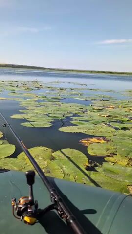 A first-person perspective video shows a person in a green inflatable boat on a calm lake. The water is covered with lily pads. Two fishing rods are visible in the boat, one in the foreground with a fishing reel. The sky is blue with a few white clouds, and the sun is shining. The background shows a treeline and a gently sloping hill. The person's hand, wearing a blue and orange striped glove, is visible in the lower left corner of the frame.