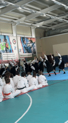 Karate demonstration with dance performance held in Votkinsk gymnasium