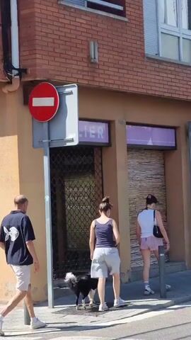 A man and two women, one walking a dog, are on a sidewalk. The man is wearing a dark t-shirt with a fish graphic and tan shorts. The woman walking the dog is wearing a dark tank top and light-colored shorts. The second woman is wearing a white t-shirt and pink shorts. They are walking past a building with a brick facade and several shopfronts with rolled-down bamboo blinds. A stop sign is visible on a pole to the left of the frame. The scene appears to be a sunny day.