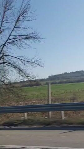 The video shows a view from a moving vehicle, likely a car, traveling along a road. The scenery consists of a green field beyond a fence and a guardrail. There are bare trees visible at the start of the video and utility poles that pass quickly by. The sky is clear and blue. Another dark colored car passes by at the end of the video.