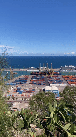 Outdoor guitar performance overlooking Barcelona port draws afternoon crowd