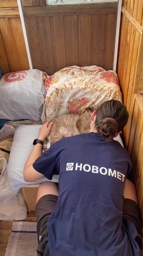 Lazy summer morning in Perm, resting indoors and out