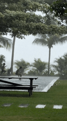 Heavy rain falls at Indonesian waterfront pool area