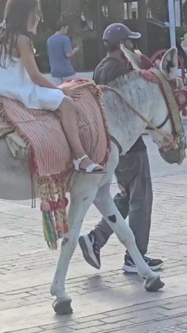 A young girl with long dark hair, wearing a white dress and sandals, is riding on the back of a white donkey. She is seated on a colorful, fringed saddle blanket. A man with a dark baseball cap and a grey shirt is walking alongside the donkey, holding the reins. The donkey is walking on a paved surface, possibly a sidewalk or pedestrian area. In the background, there are palm trees, buildings, and cars. Another person, a man in a white short-sleeved shirt and white shorts, is partially visible walking in front of the donkey. Further in the background, a young boy in a white t-shirt and green cap is riding on the donkey, and another man with a blue t-shirt and a backpack is walking alongside. There is a blue sign with a white wheelchair symbol visible in the upper background. The scene appears to be a public outdoor area, possibly a tourist location.