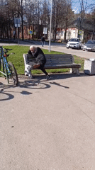 Ordinary outdoor moments: parks, wildlife, wooden art documented