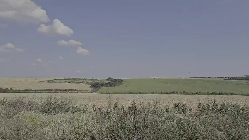 The media file depicts a wide, panoramic view of a rural landscape under a clear, blue sky with a few scattered white clouds. The scene is divided into agricultural fields, showcasing different stages of growth and harvest. In the foreground, there is a field of dry, golden-brown grass or stubble, with some scattered green bushes and weeds.

Beyond this foreground field, the landscape opens up to reveal two distinct agricultural areas. To the left, a field appears to have been recently harvested, with lighter brown, tilled earth visible. To the right, a vibrant green field stretches across the horizon, suggesting a growing crop. A winding line of trees and dense greenery separates these two fields, creating a natural border.

In the far distance, the horizon is flat and hazy, with the faint outlines of more fields and possibly some distant structures. The overall impression is one of a peaceful, agricultural setting, likely in the countryside.

The time of day appears to be daytime, possibly late morning or early afternoon, given the brightness of the light and the clear sky. The weather seems pleasant and fair. The location is suggested to be Dobrusha, Bulgaria, which aligns with the pastoral and agricultural nature of the scenery. There are no visible people or specific objects that draw attention, making the landscape itself the primary subject. The overall mood is serene and tranquil, conveying a sense of open space and natural beauty. No text is visible in the media file.