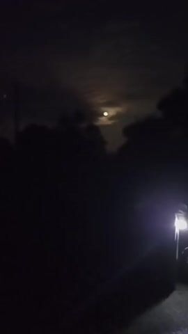 A person walks on a dark, paved path at night holding a lantern. The lantern casts a bright light on the path ahead. The moon is visible in the sky, partially obscured by clouds, and trees line the sides of the path.